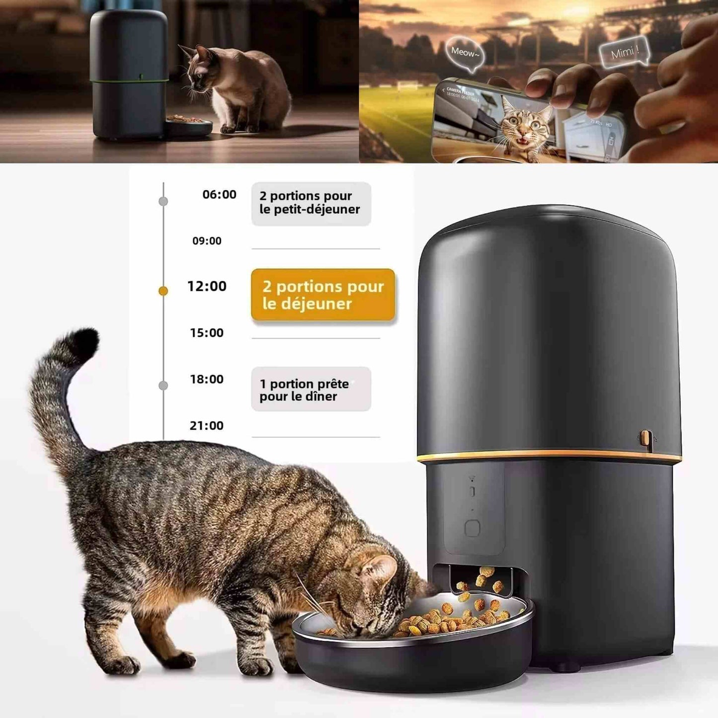 distributeur-de-croquettes-chat-contrôle-catchef