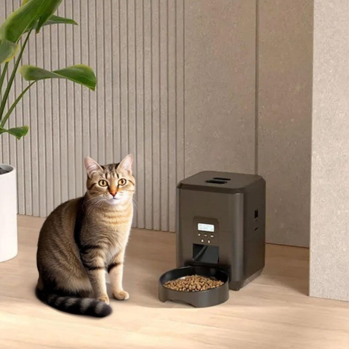 distributeur-de-croquettes-pour-chat-gourmet-bot