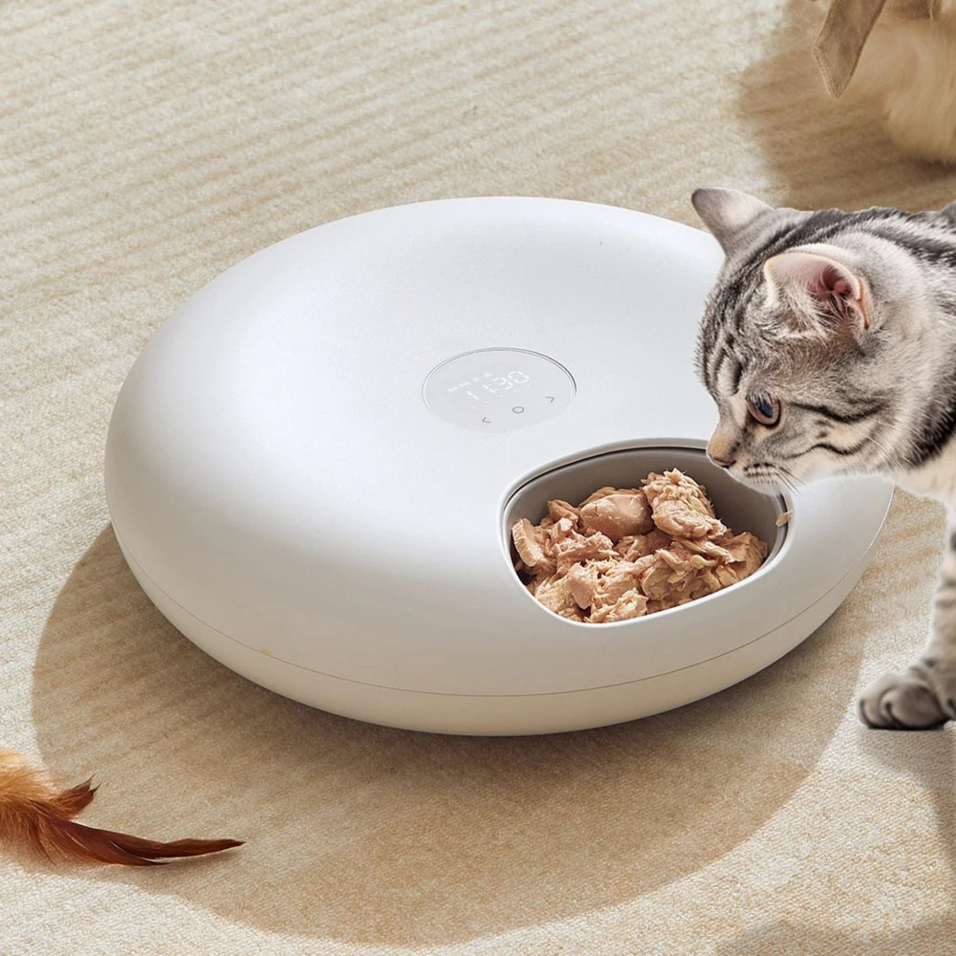 distributeur-de-patee-pour-chat-pratique