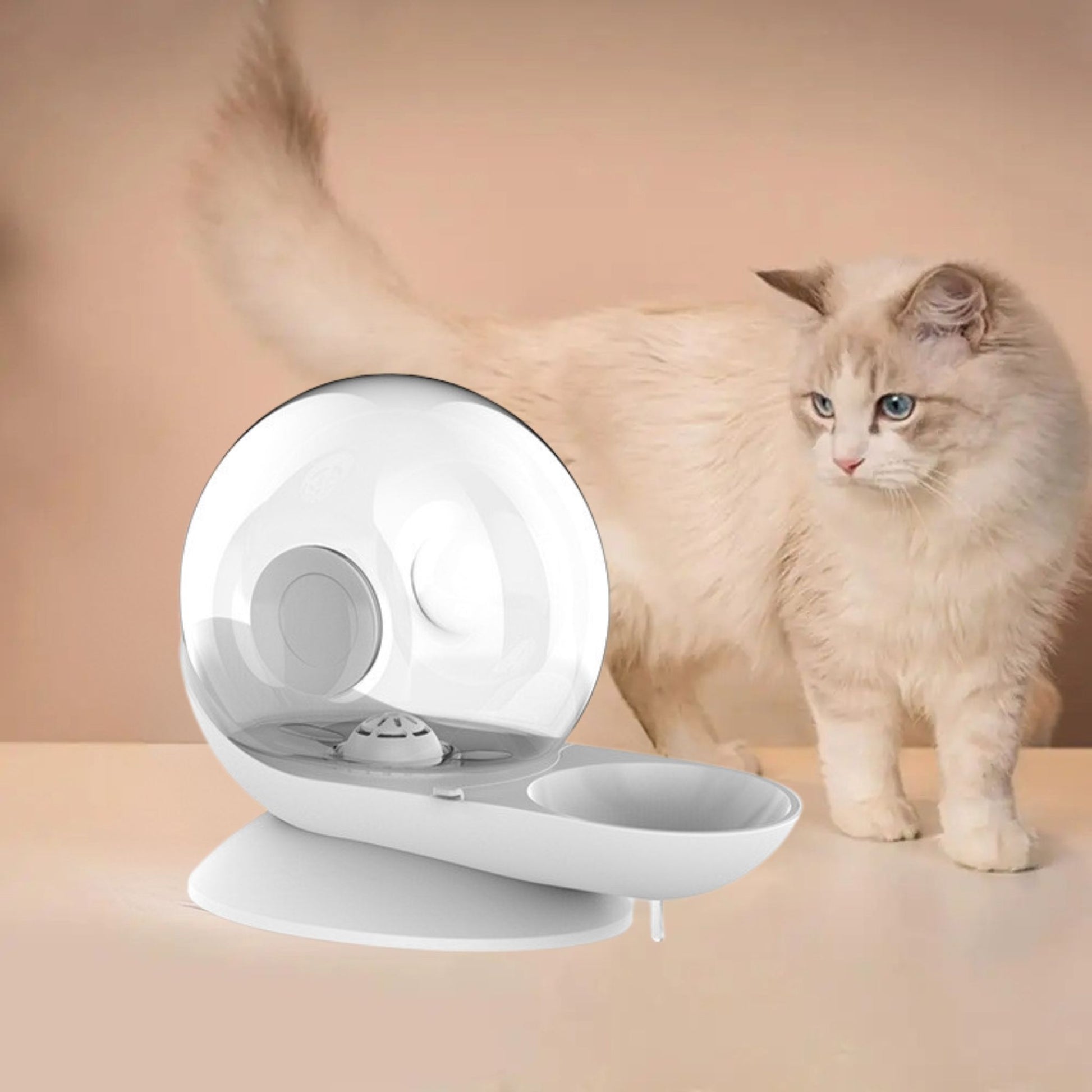 distributeur-eau-chat-blanc-gris