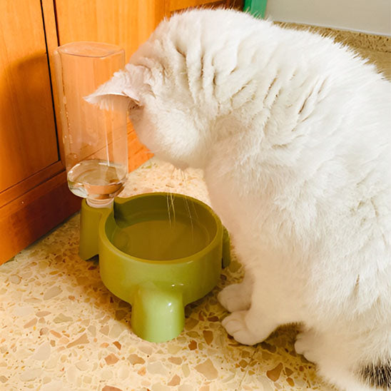 distributeur-eau-chat-hydratant