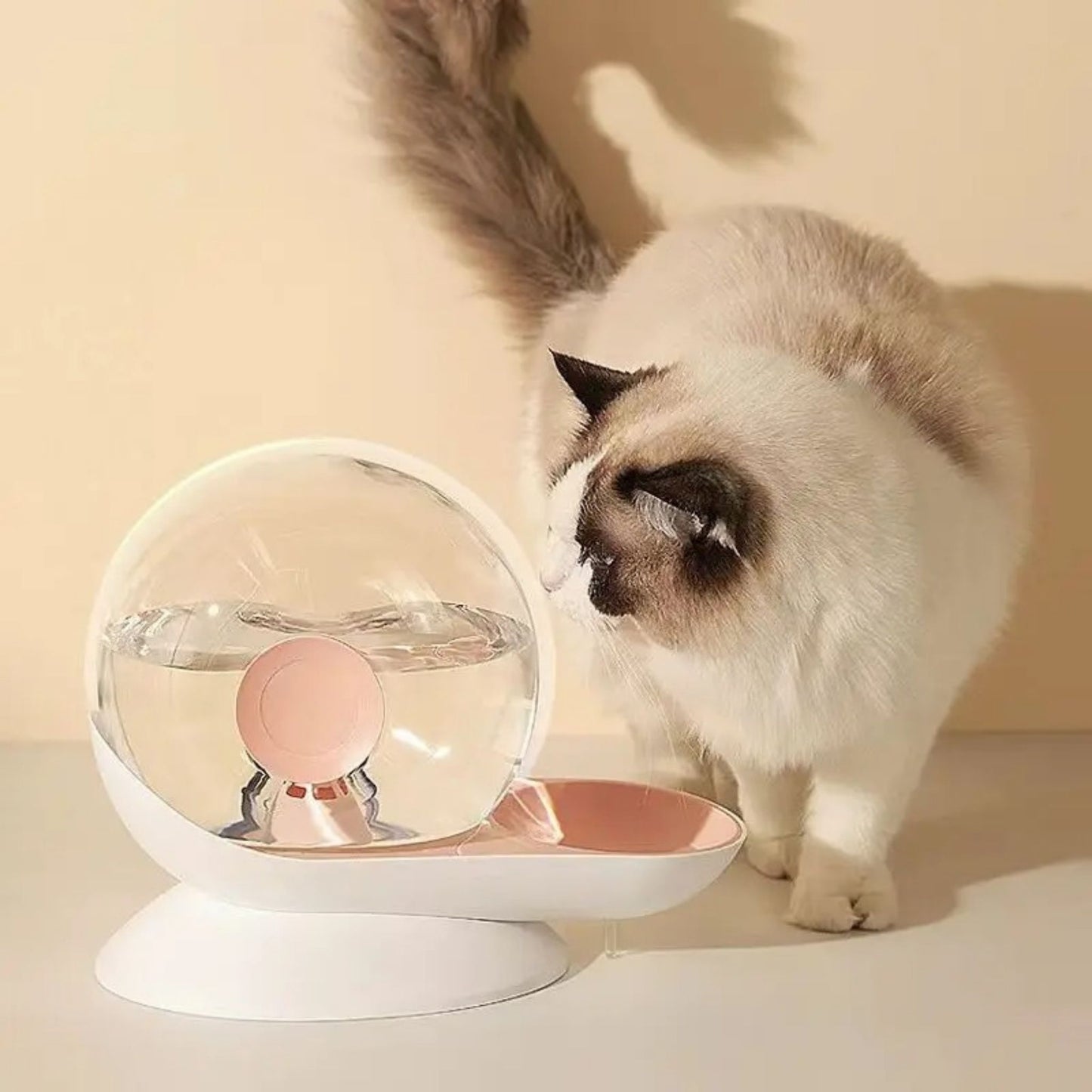 distributeur-eau-chat-rose-blanc