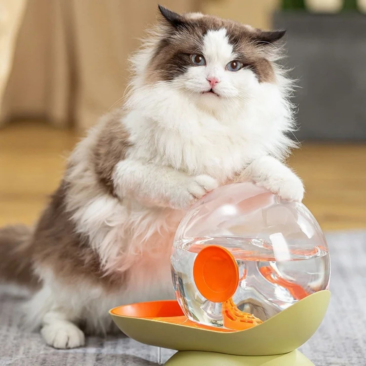 distributeur-eau-chat-vert-orange