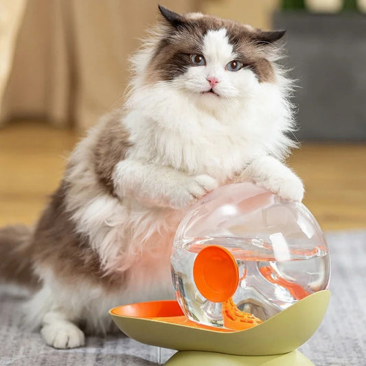 distributeur-eau-chat-vert-orange