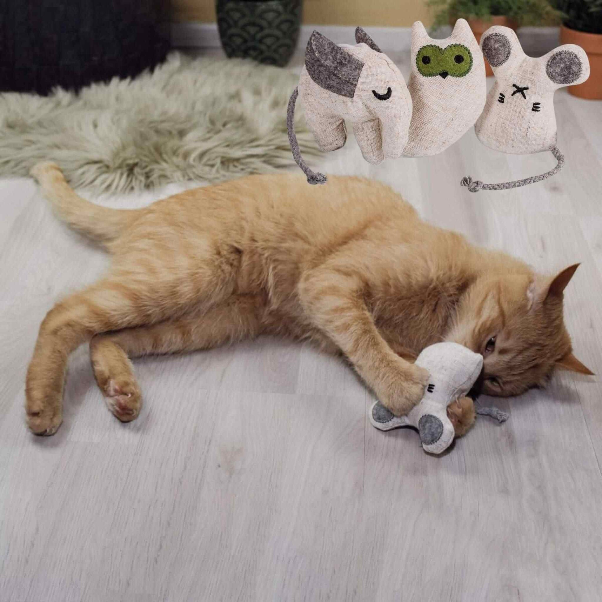 doudou-pour-chat-lot-vert-design