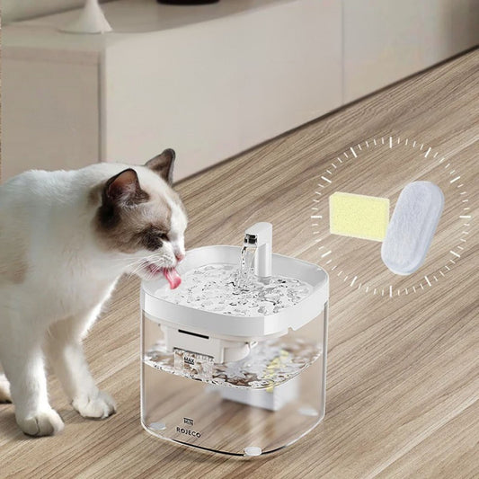 filtre-fontaine-chat-à-renouveler