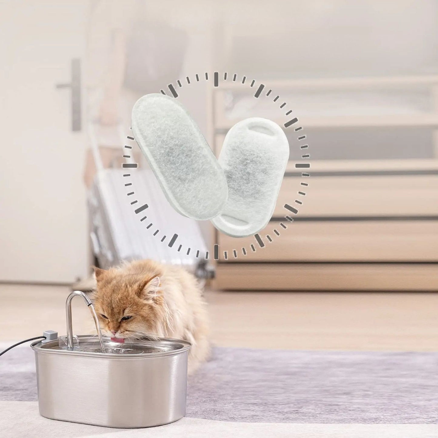 filtre-pour-fontaine-à-eau-chat-filtre-purifiant