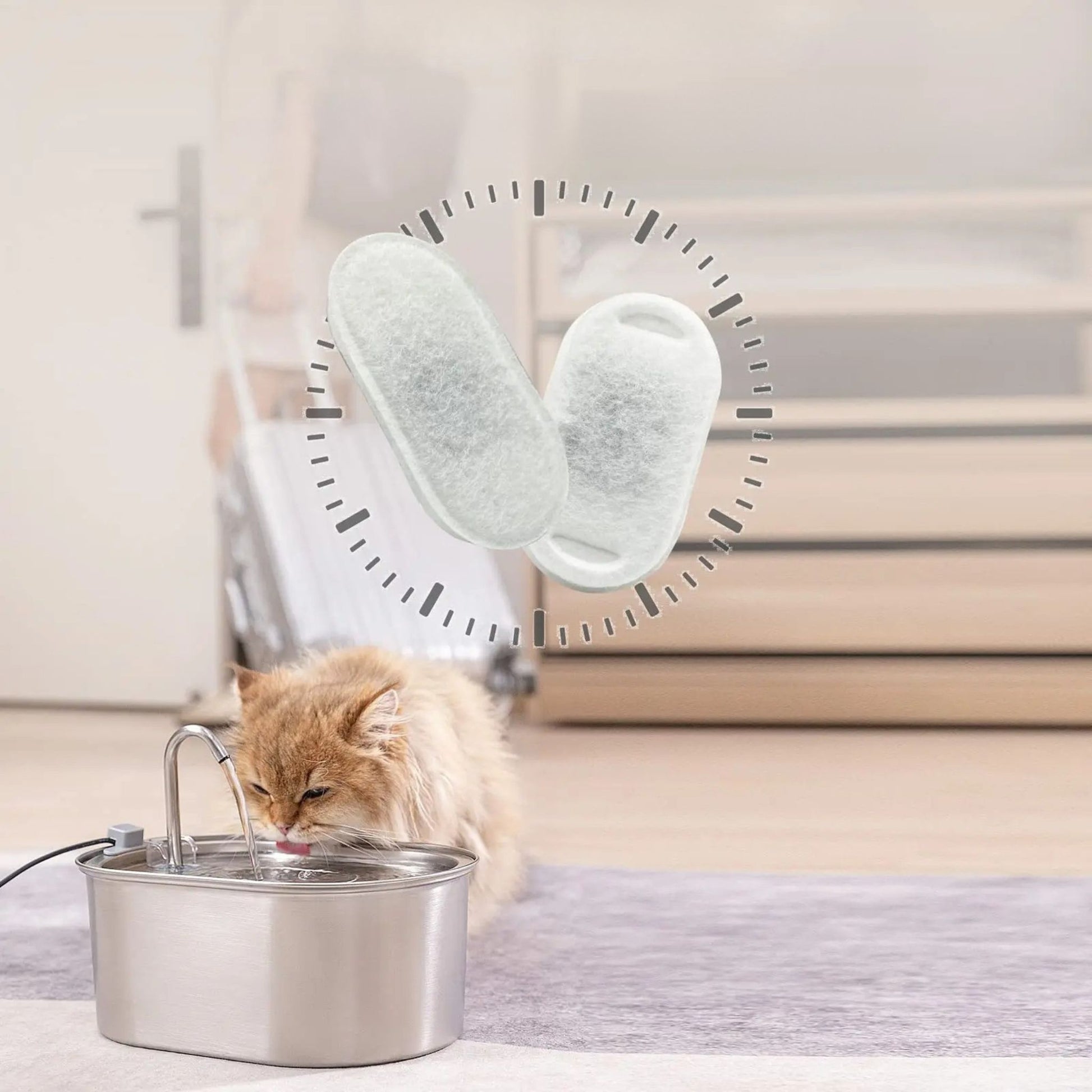 filtre-pour-fontaine-à-eau-chat-filtre-purifiant