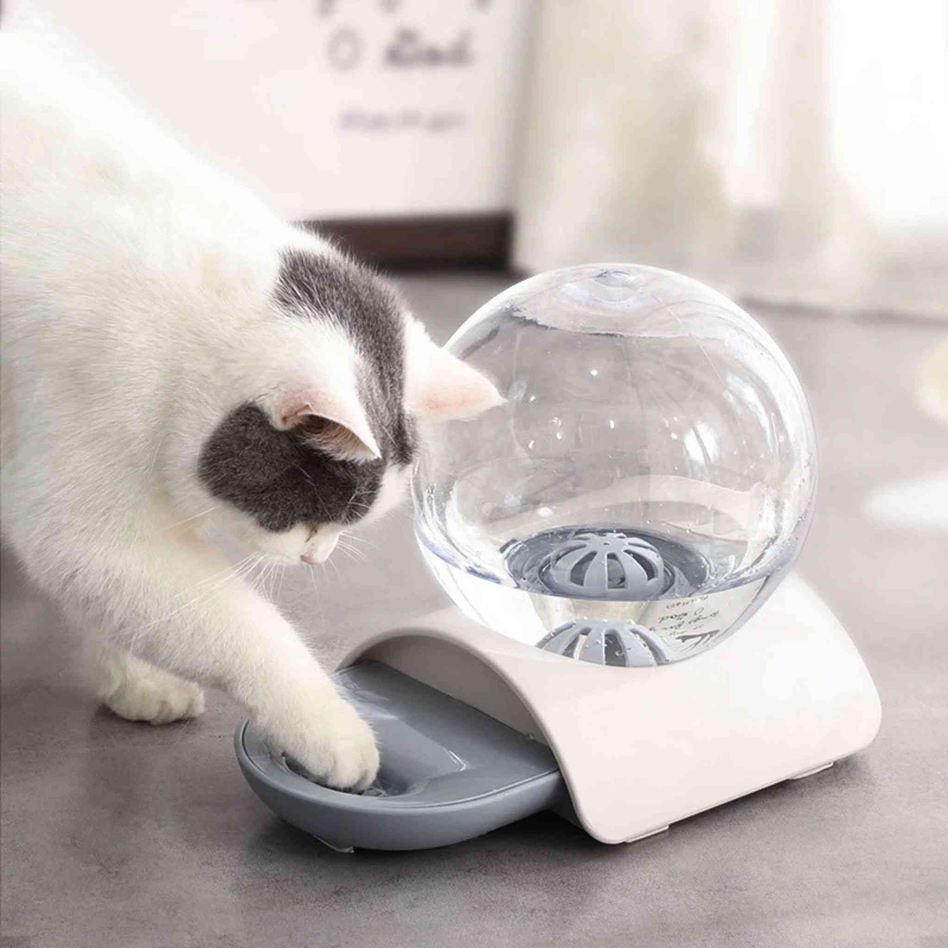 fontaine-à-chat-moderne-grise