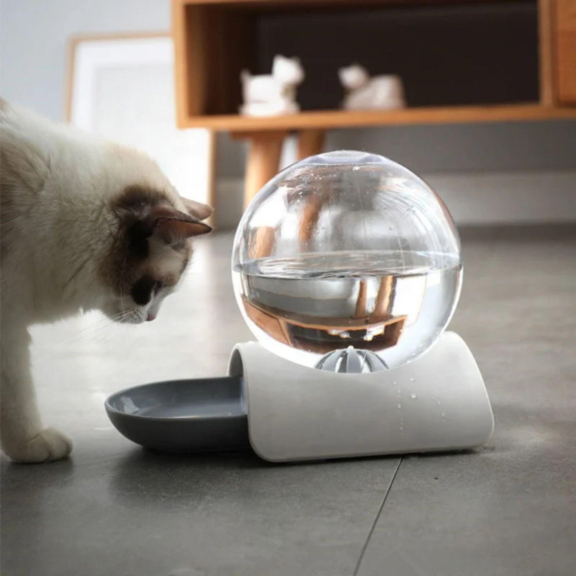 fontaine-à-chat-pratique-grise