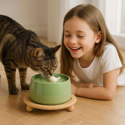 fontaine-a-eau-ceramique-chat-ensemble-fontaine-verte-support-bois