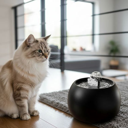 fontaine-a-eau-ceramique-chat-oasis-noir