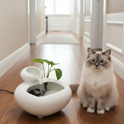 fontaine-a-eau-ceramique-décorative