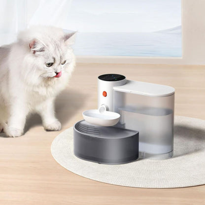 fontaine-a-eau-chat-aquagourmet-design