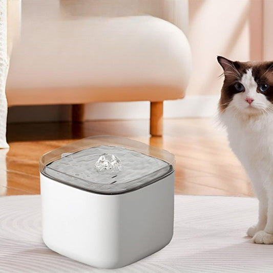 fontaine-à-eau-chat-blanche-moderne
