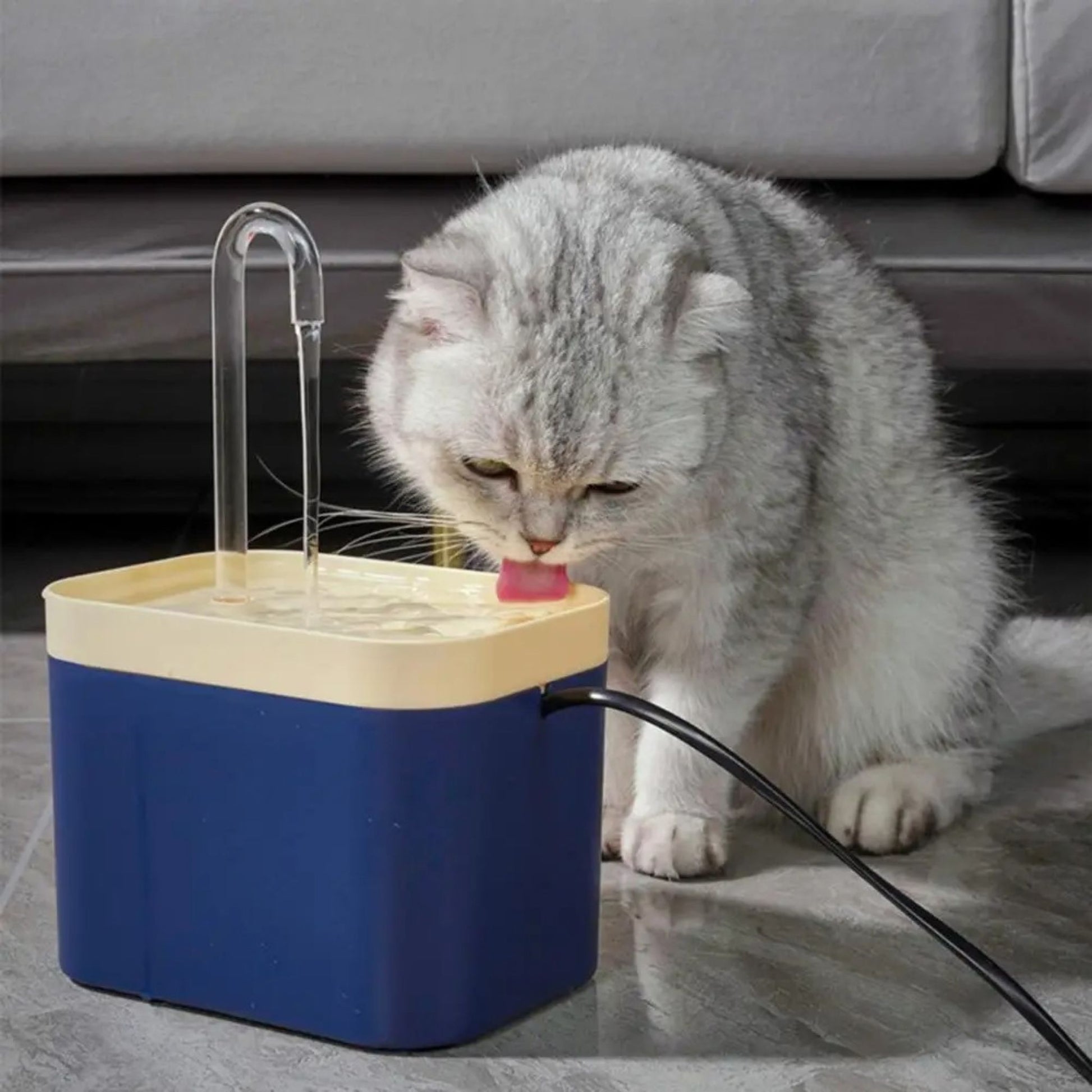 fontaine-à-eau-chat-bleu-jaune