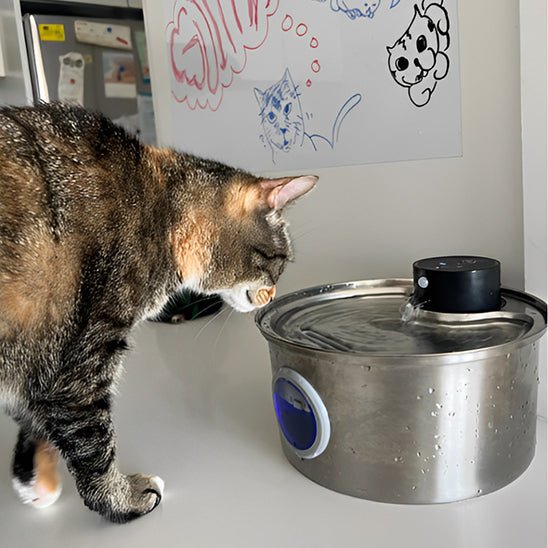 fontaine a eau chat | CORDLESS FONTAINE - Happy minet