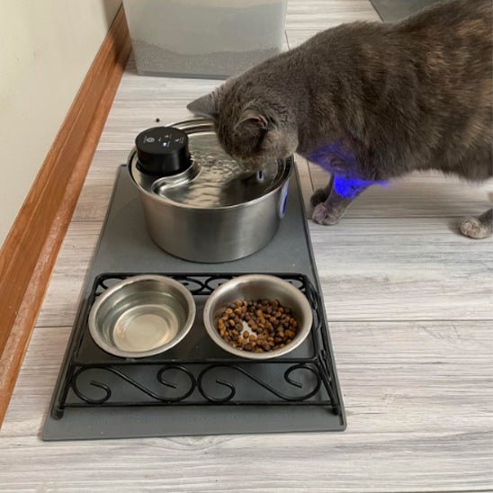 fontaine a eau chat | CORDLESS FONTAINE - Happy minet