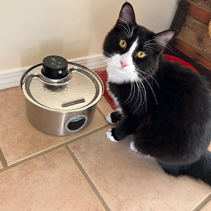 fontaine a eau chat | CORDLESS FONTAINE - Happy minet