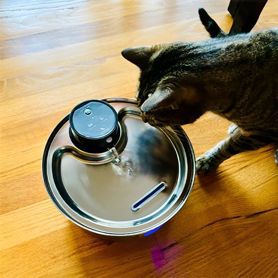 fontaine a eau chat | CORDLESS FONTAINE - Happy minet