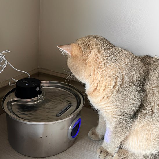 fontaine a eau chat | CORDLESS FONTAINE - Happy minet