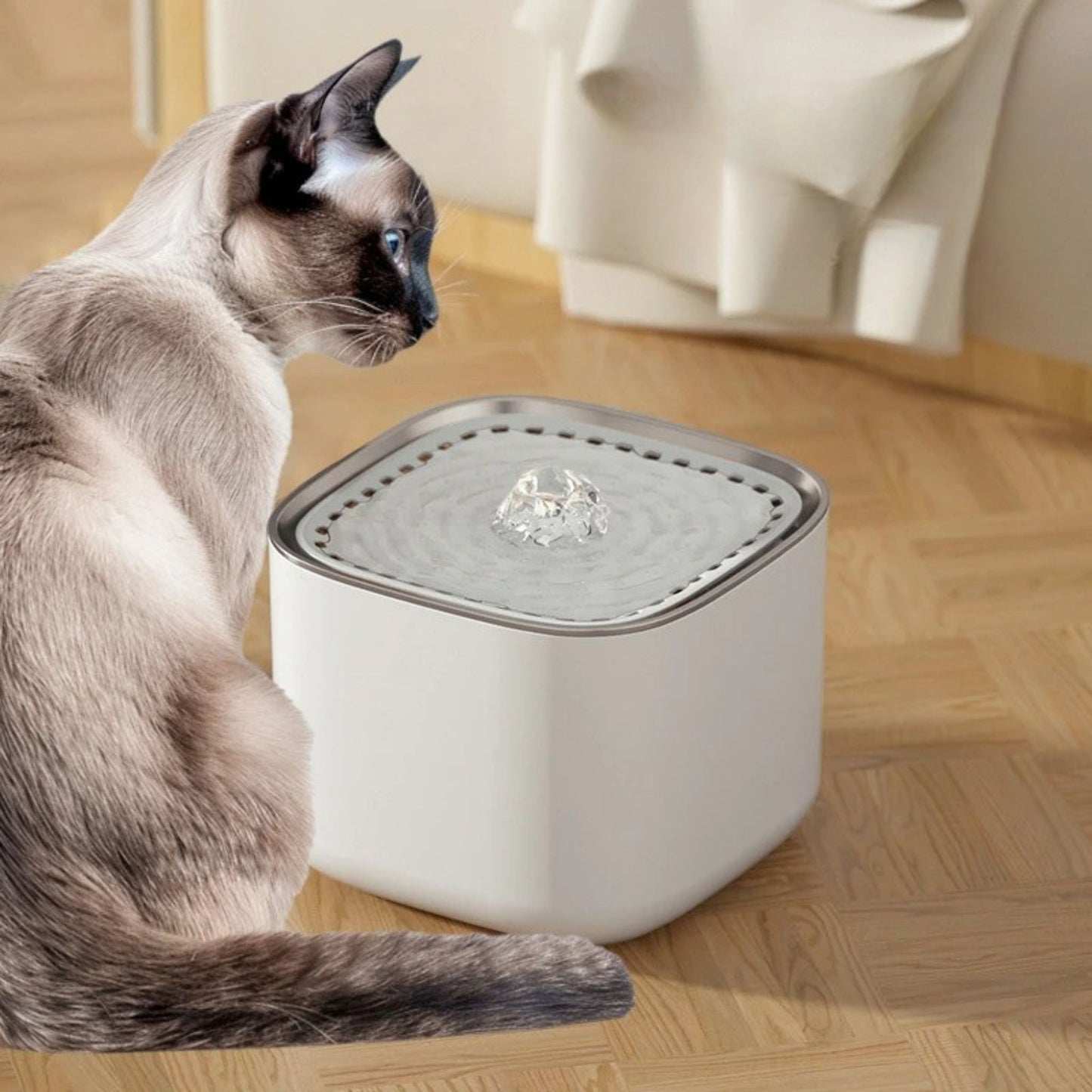 fontaine-à-eau-chat-douce-blanche