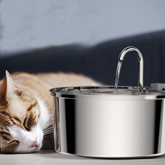 fontaine à eau chat | EAU FRAICHE - Happy minet