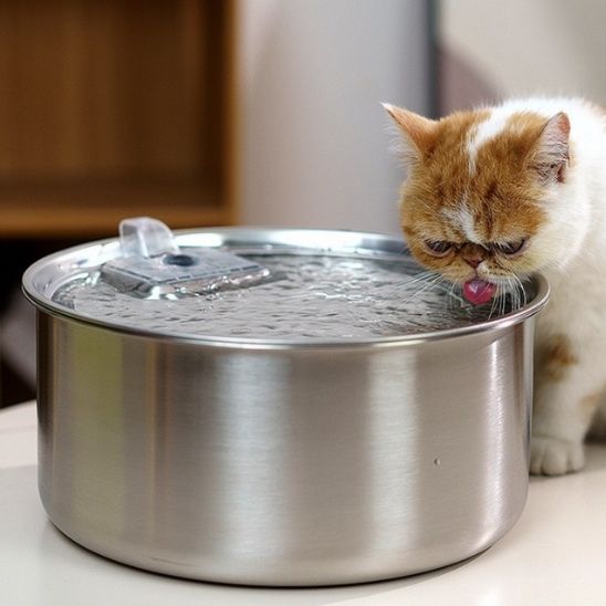 fontaine à eau chat | EAU FRAICHE - Happy minet