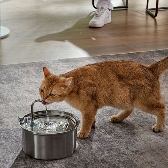 fontaine à eau chat | EAU FRAICHE - Happy minet