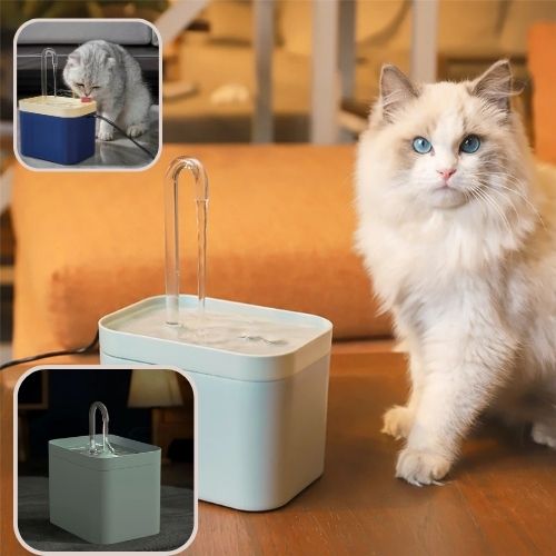 fontaine-a-eau-chat-economique