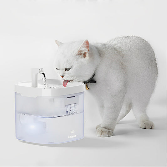 fontaine-a-eau-chat-élégante-transparente