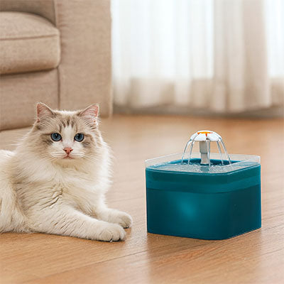 fontaine-à-eau-chat-fleur-pratique
