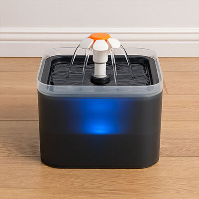 fontaine-à-eau-chat-fleur