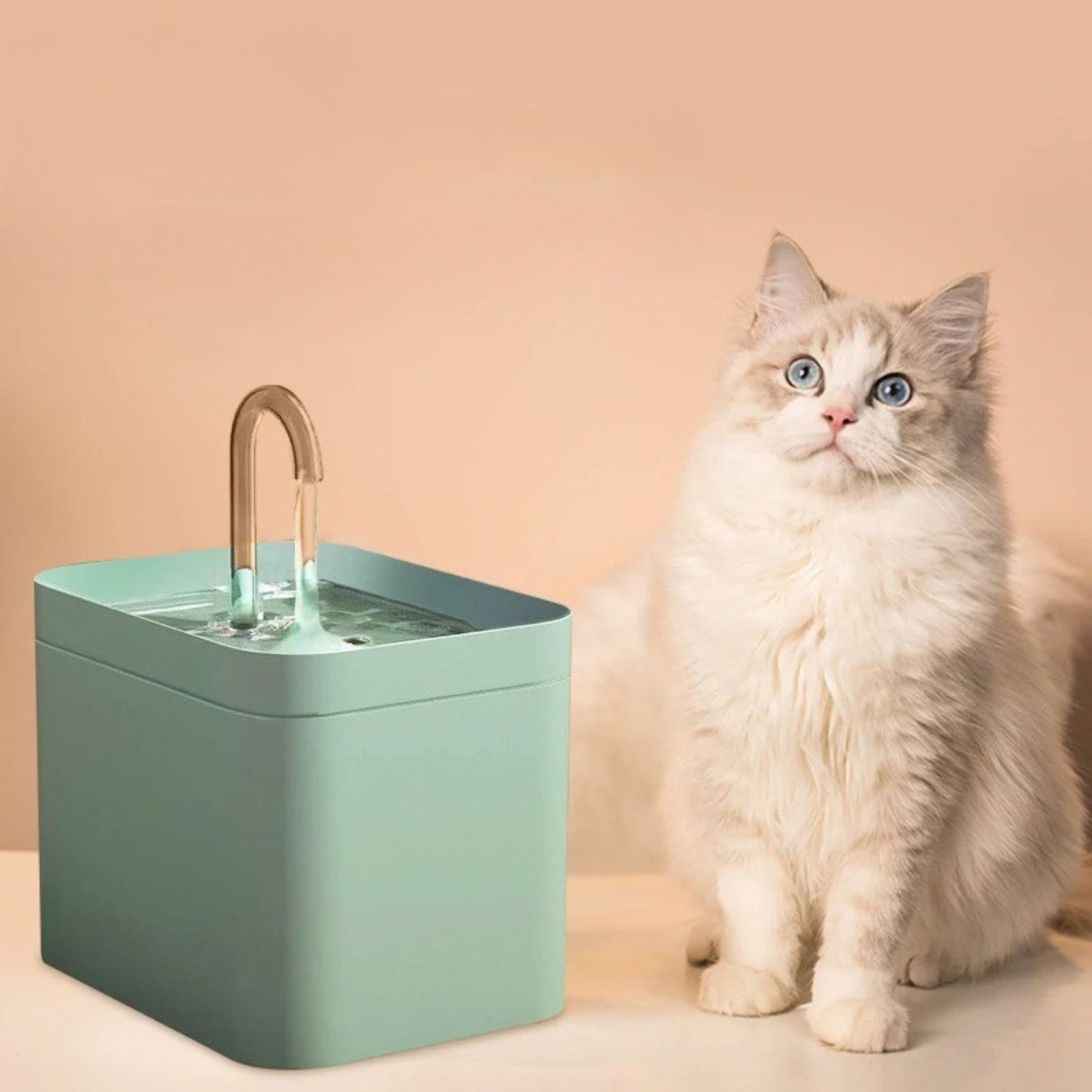 fontaine-à-eau-chat-hydratante-verte