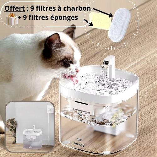 fontaine-a-eau-chat-produit