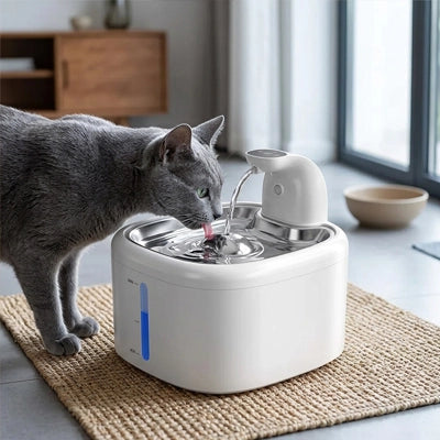 fontaine a eau chat sans fil design
