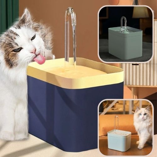 fontaine-a-eau-chat-variantes