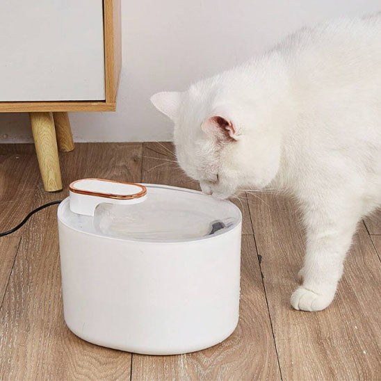 fontaine-a-eau-pour-chat-aquapurr-blanche