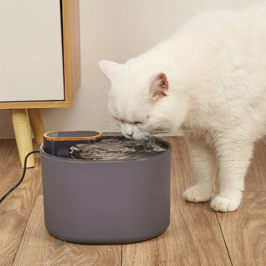 fontaine-a-eau-pour-chat-aquapurr-noir