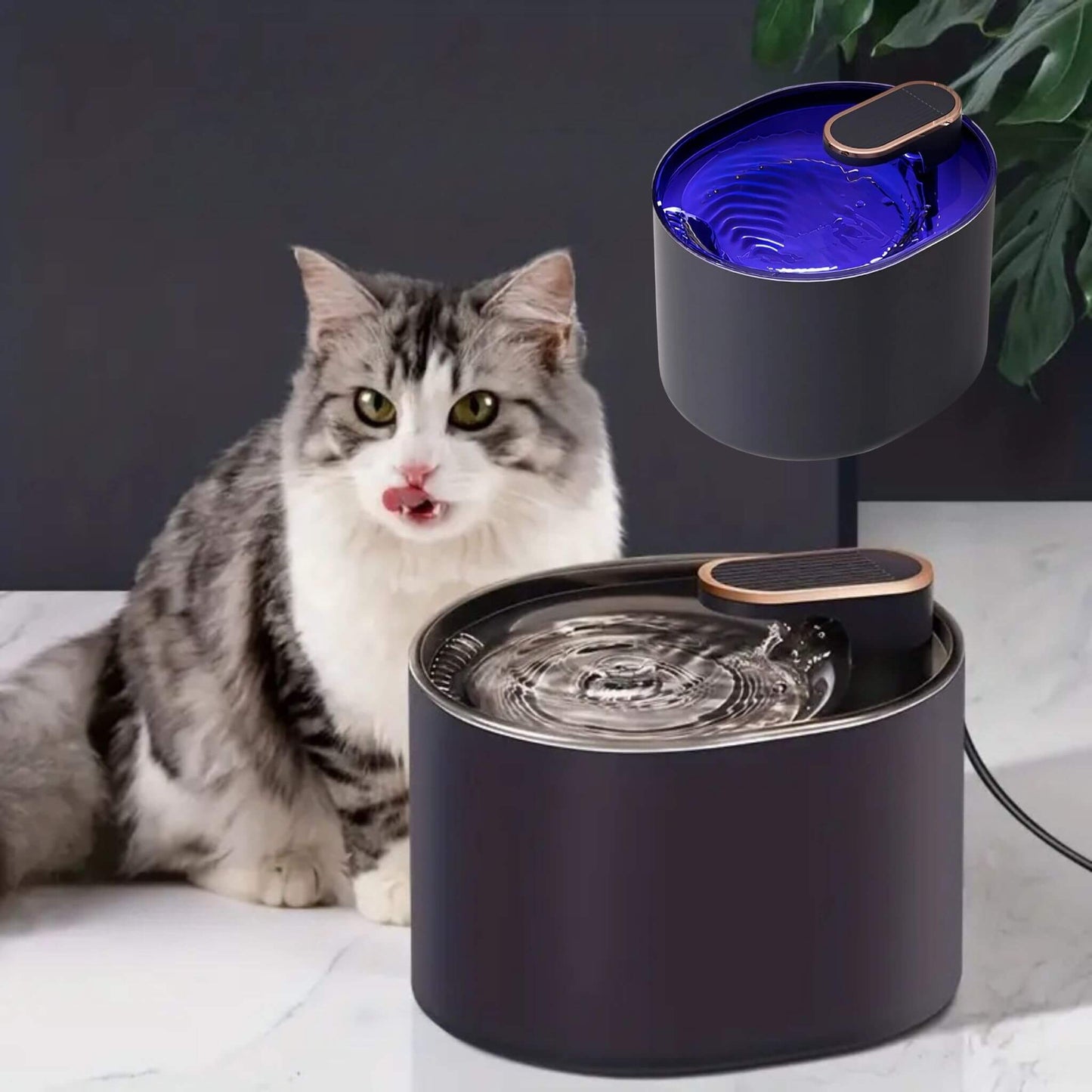 fontaine-a-eau-pour-chat-aquapurr