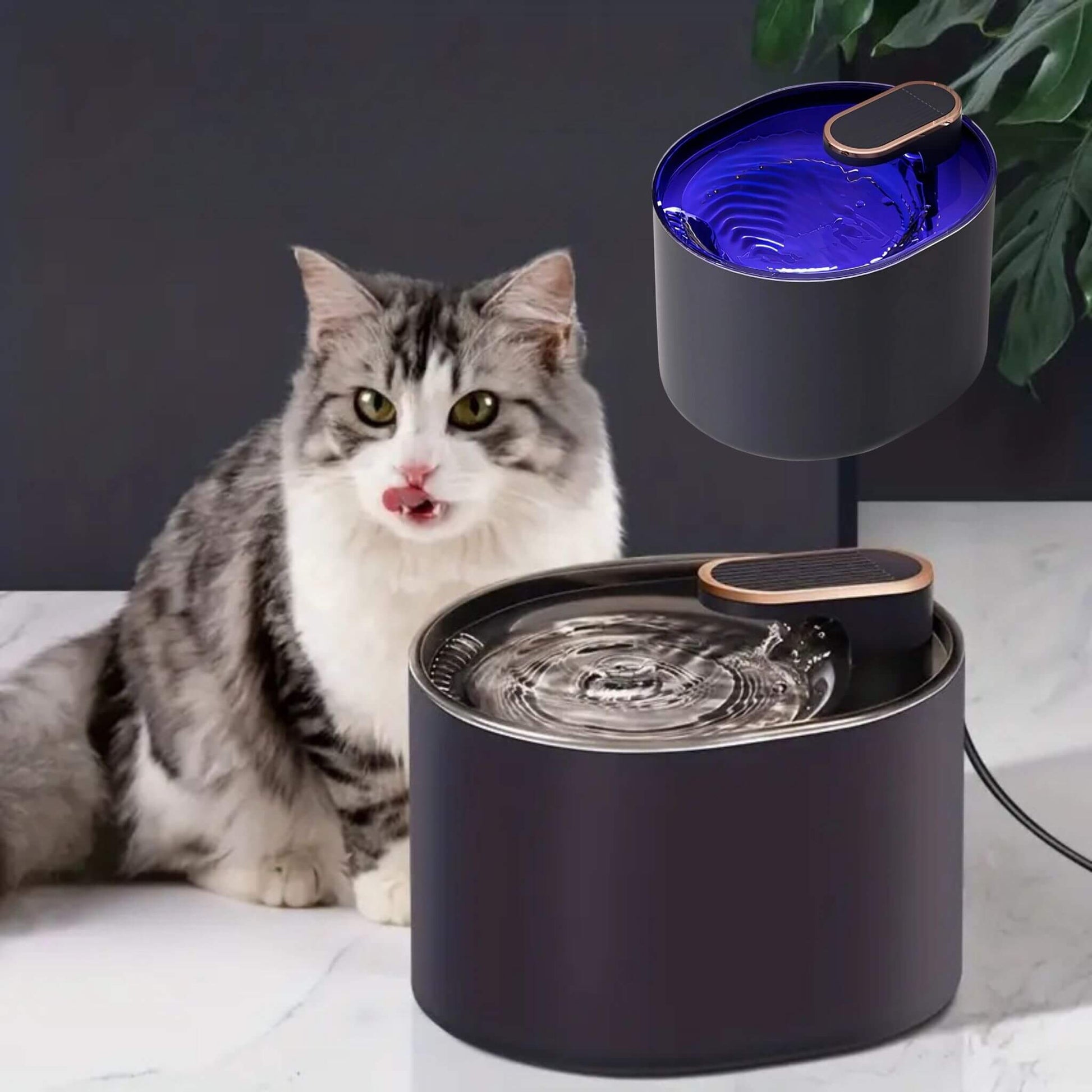 fontaine-a-eau-pour-chat-aquapurr