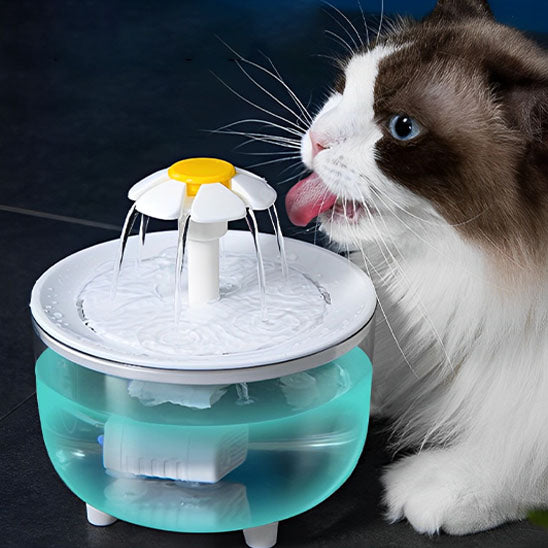 fontaine-a-eau-pour-chat-blanche-transparente-fleur
