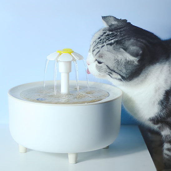 fontaine-a-eau-pour-chat-blanche