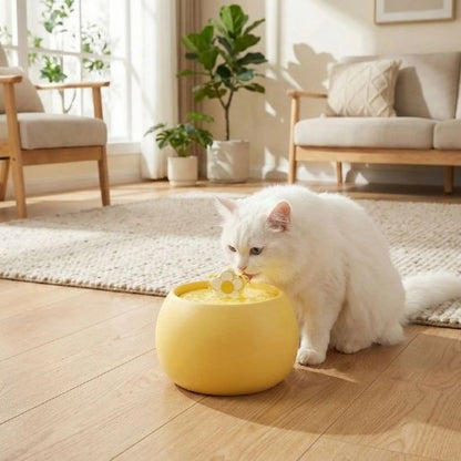 fontaine a eau pour chat ceramique fleur zen