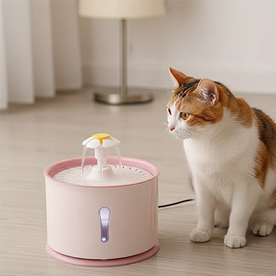 fontaine-à-eau-pour-chat-féline-hydratante
