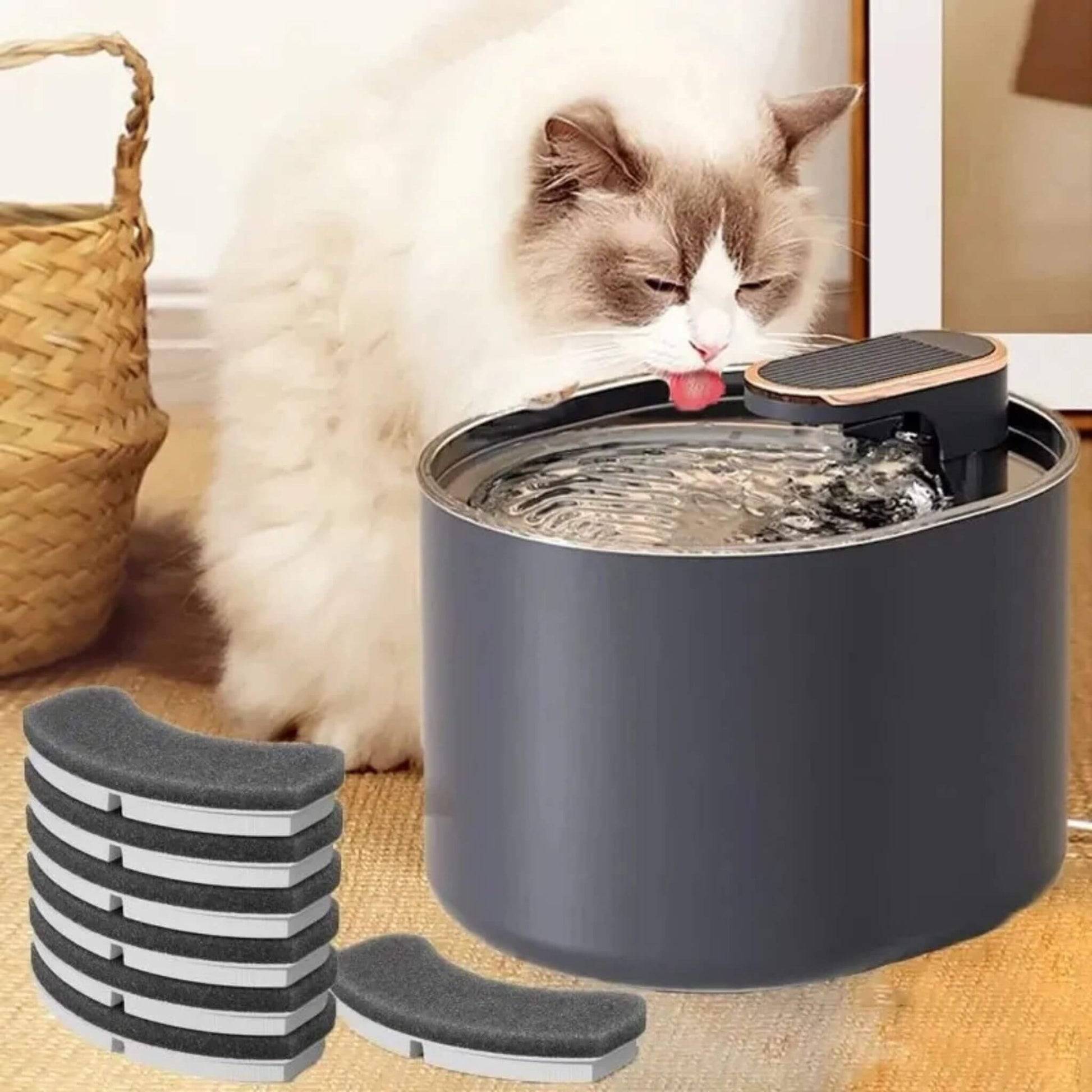 fontaine-a-eau-pour-chat-filtres