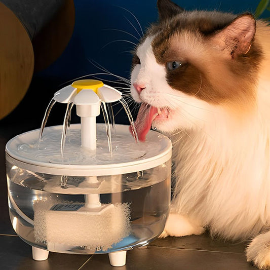 fontaine-a-eau-pour-chat-fleur
