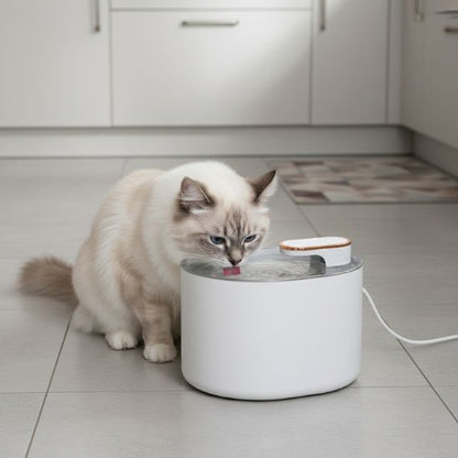 fontaine-a-eau-pour-chat-hydratante-blanche