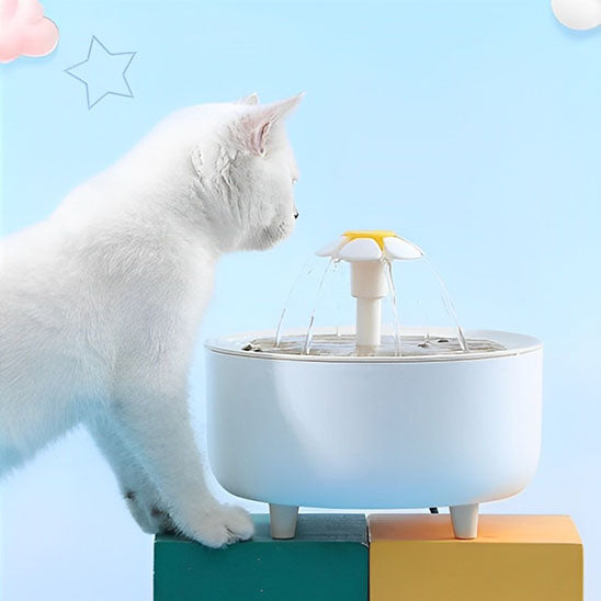 fontaine-a-eau-pour-chat-hydratation-intense