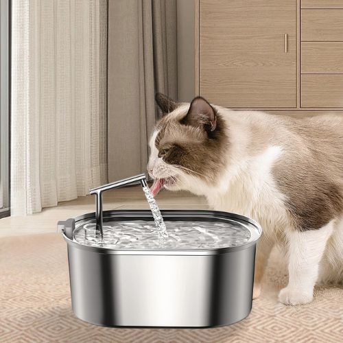 fontaine-a-eau-pour-chat-inox